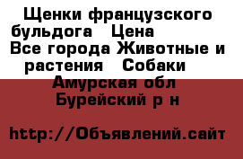 Щенки французского бульдога › Цена ­ 30 000 - Все города Животные и растения » Собаки   . Амурская обл.,Бурейский р-н